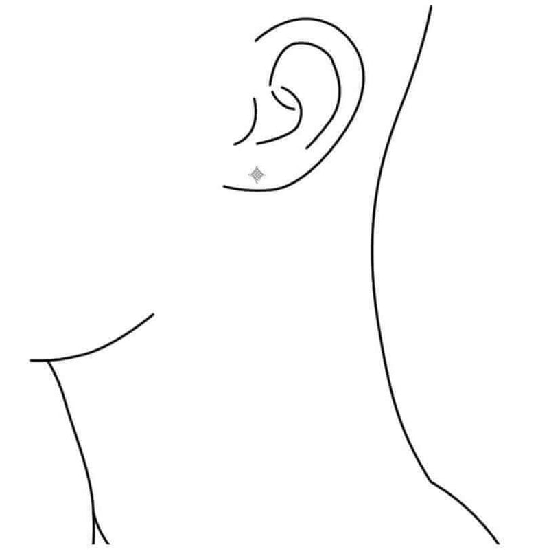 Diamond Accent Ladies Micro-pave Set Earrings