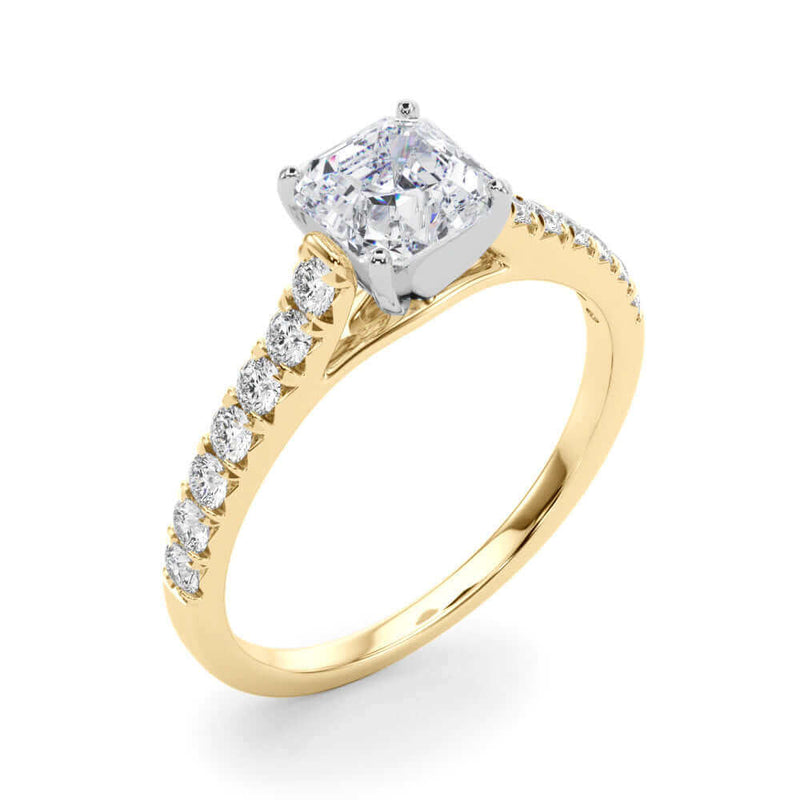 2 Carat Princess and Round Lab Grown Diamond Engagement Ring for Women