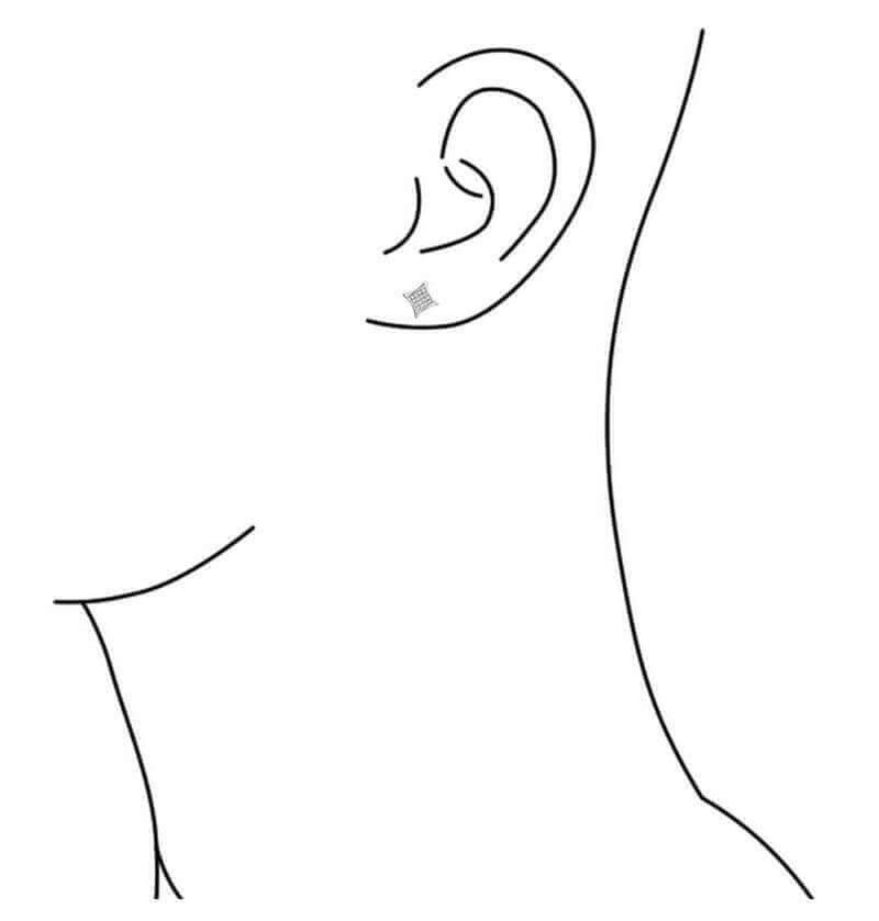 Micro-pave Set Earrings