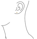 Diamond Accent Ladies Micro-pave Set Earrings